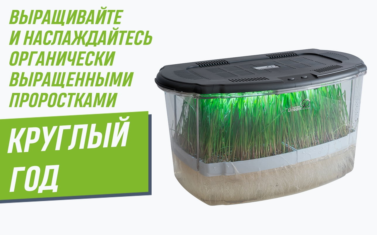 Выращивайте и наслаждайтесь органически выращенными проростками