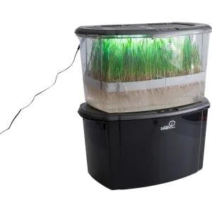Микроферма RAWMID Dream Sprouter SDM-02, Затемненная - фото 16