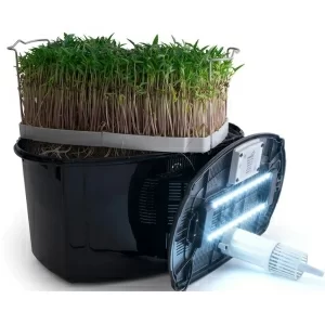 Микроферма RAWMID Dream Sprouter SDM-02, Затемненная - фото 3