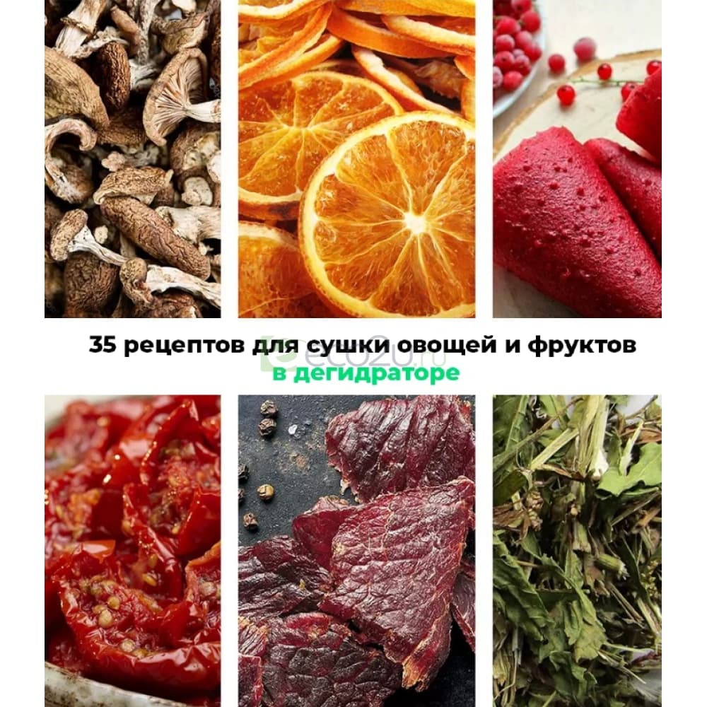 Цифровая книга "35 рецептов для сушки фруктов и овощей в дегидраторе"